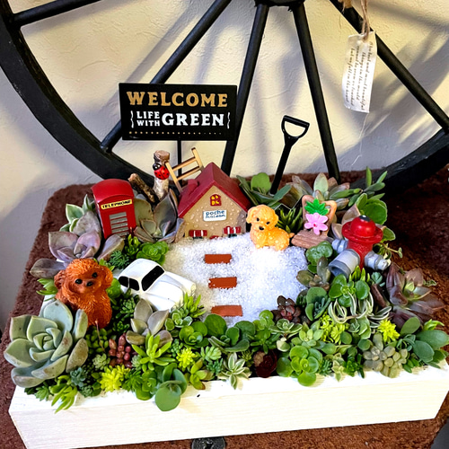 プレゼントにも〜受注制作 わんちゃんガーデン箱庭風多肉植物寄せ植え