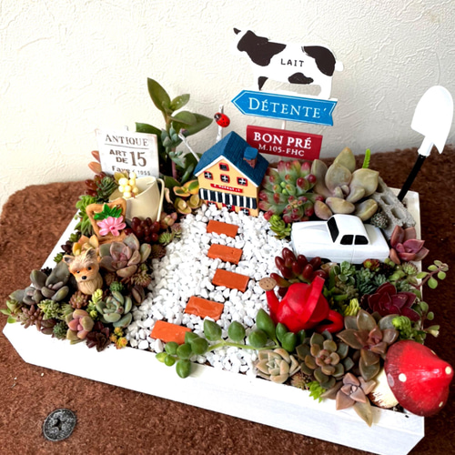 プレゼントにも〜受注制作 わんちゃんガーデン箱庭風多肉植物寄せ植え