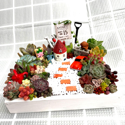 プレゼントにも〜受注制作 わんちゃんガーデン箱庭風多肉植物寄せ植え
