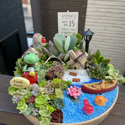 受注制作 円形わんちゃんにゃんこ箱庭風多肉植物寄せ植え 多肉植物