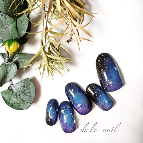 ギャラクシー 宇宙 星座 ネイルチップ ネイルチップ（つけ爪） しょこ  