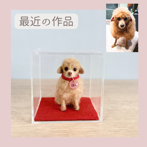 羊毛フェルト。オーダー。マグニフィカ。 羊毛フェルトマスコットオーダー 羊毛フェルト tinkle 通販