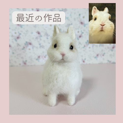 羊毛フェルト。オーダー。マグニフィカ。 羊毛フェルトマスコットオーダー 羊毛フェルト tinkle 通販