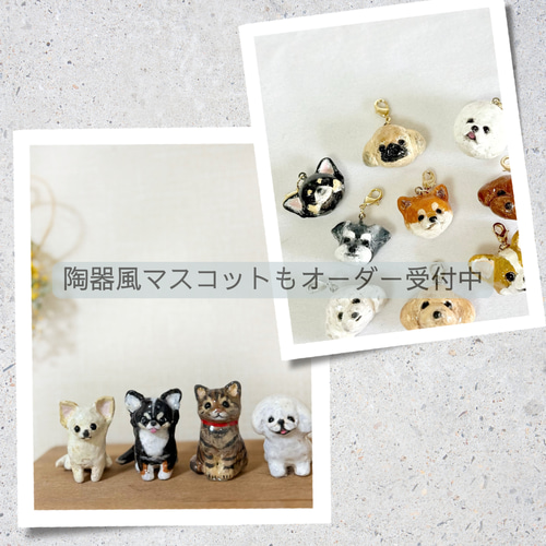 みー♡うちの子オーダー♡羊毛フェルト♪ハンドメイド☆ うちの子オーダー 羊毛フェルト | iichi 日々の暮らしを心地よくする