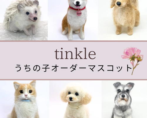 78cc5be168db0cbe088cf38de300c9