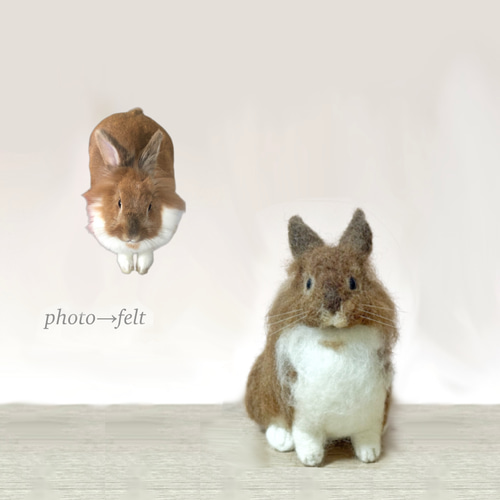 おかえり、うちの子。 小さくなって帰ってくる、写真から生まれる羊毛