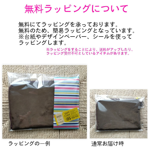 ポーチ wファスナーポーチ アクセサリーケース クリアポケット
