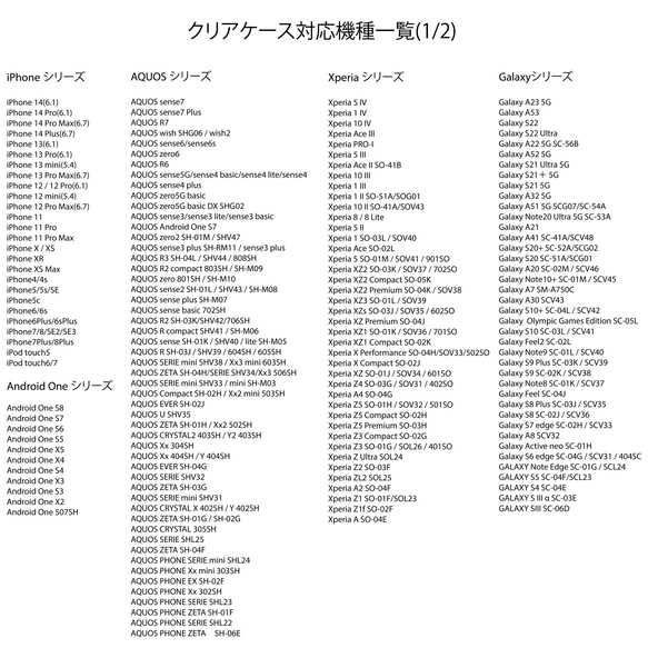  第9張的照片