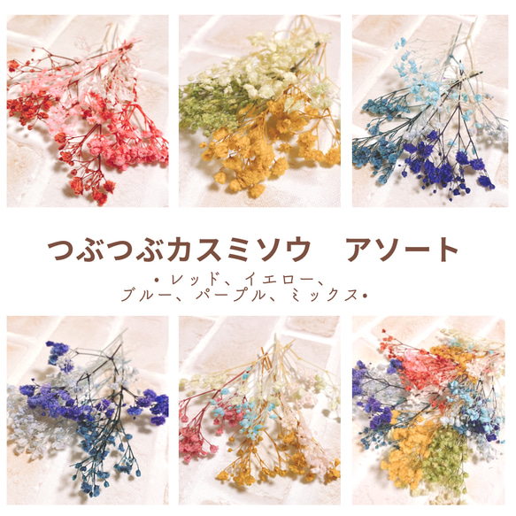 かすみ草ドライフラワー✣ソフトブラウンアソート