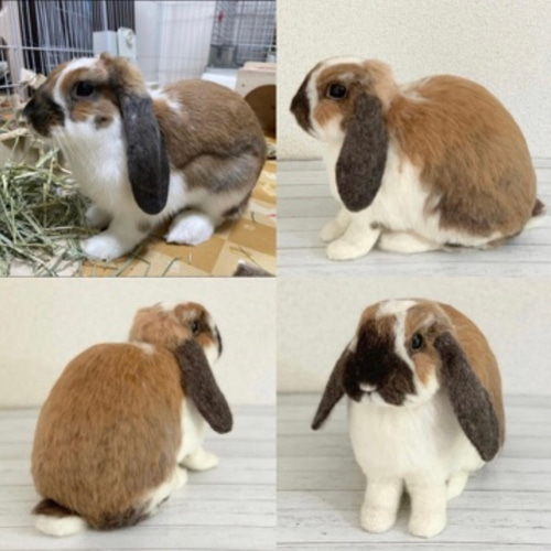 オーダーメイド】【XLサイズ】羊毛フェルト うさぎ ペット うち オーダーメイド】【XLサイズ】羊毛フェルト うさぎ ペット うち