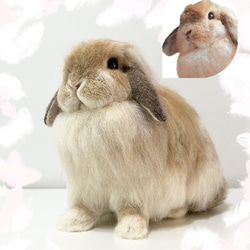[訂製] [XL 尺寸] 羊毛氈兔子寵物我的孩子訂購毛絨玩具娃娃 第3張的照片