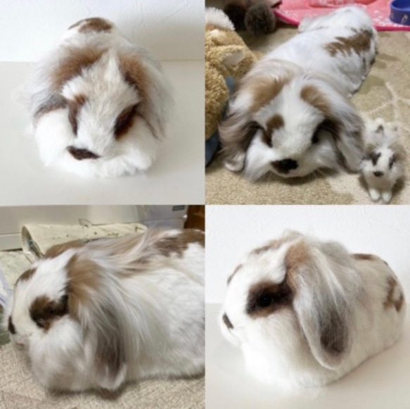 [訂製] [XL 尺寸] 羊毛氈兔子寵物我的孩子訂購毛絨玩具娃娃 第6張的照片