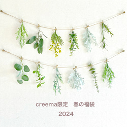 【creema春の福袋2024】ミモザとグリーン ガーランド2点セット 1枚目の画像