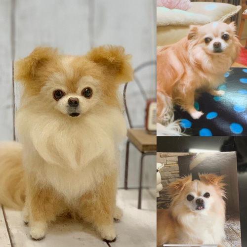 羊毛フェルト 羊毛フェルトオーダー うちの子フレーム 羊毛フェルト犬