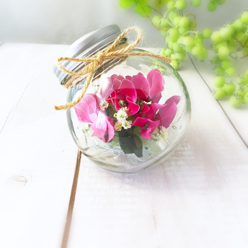 ドライフラワーシクラメン （ボトルフラワーキャンディボトル）【送料