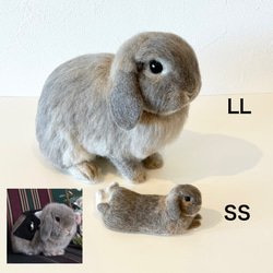 [客製化] [SS 尺寸] 羊毛氈兔子寵物我的孩子訂購毛絨玩具娃娃禮物或禮物 第3張的照片