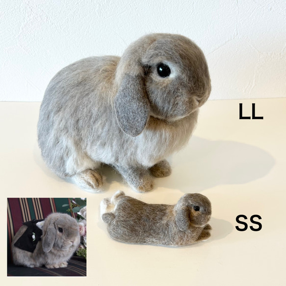 【オーダーメイド】【SSサイズ】羊毛フェルト　うさぎ　ペット　うちの子　オーダー　ぬいぐるみ　人形　プレゼントやギフトに 3枚目の画像