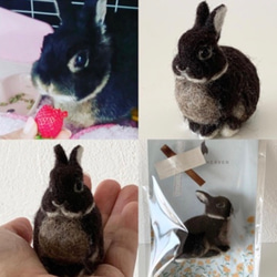 【オーダーメイド】【SSサイズ】羊毛フェルト　うさぎ　ペット　うちの子　オーダー　ぬいぐるみ　人形　プレゼントやギフトに 9枚目の画像