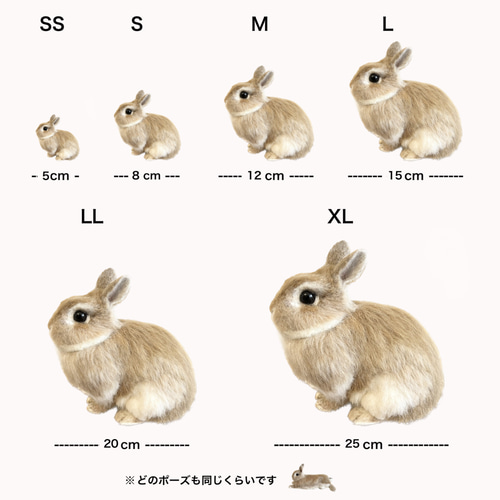 オーダーメイド】【SSサイズ】羊毛フェルト うさぎ ペット うちの子
