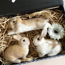 [客製化] [SS 尺寸] 羊毛氈兔子寵物我的孩子訂購毛絨玩具娃娃禮物或禮物 第9張的照片