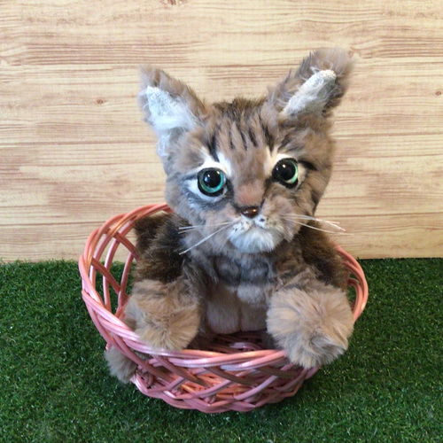 オーダーメイド(赤ちゃん猫) ぬいぐるみ もんぺるしぇ 通販