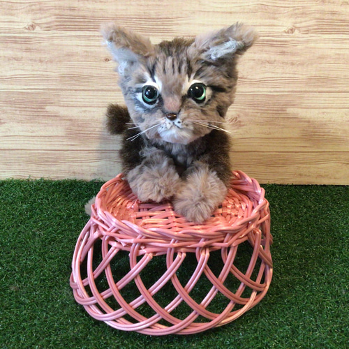 オーダーメイド(赤ちゃん猫) ぬいぐるみ もんぺるしぇ 通販 オーダーメイド(赤ちゃん猫) ぬいぐるみ もんぺるしぇ 通販