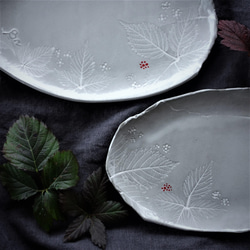 Junclay 生植物・ベリー プレートL　デザート皿 フルーツ皿 アクセサリートレー 陶器  洋食器 ギフト陶磁器 3枚目の画像
