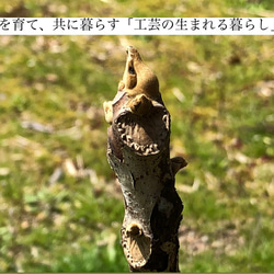 金継ぎキット Kintsugi Seed 動画付  純金0.1g 純銀0.5g 蒔仕上げ シンプル ナチュラル 金継ぎ 19枚目の画像
