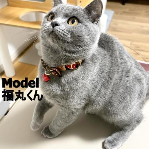 ねこたちのバレンタイン＊チョコレートのリボン首輪 リード・首輪