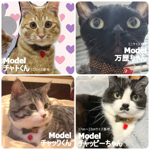 ねこたちのバレンタイン＊チョコレートのリボン首輪 リード・首輪
