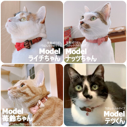 ねこたちのバレンタイン＊チョコレートのリボン首輪 リード・首輪