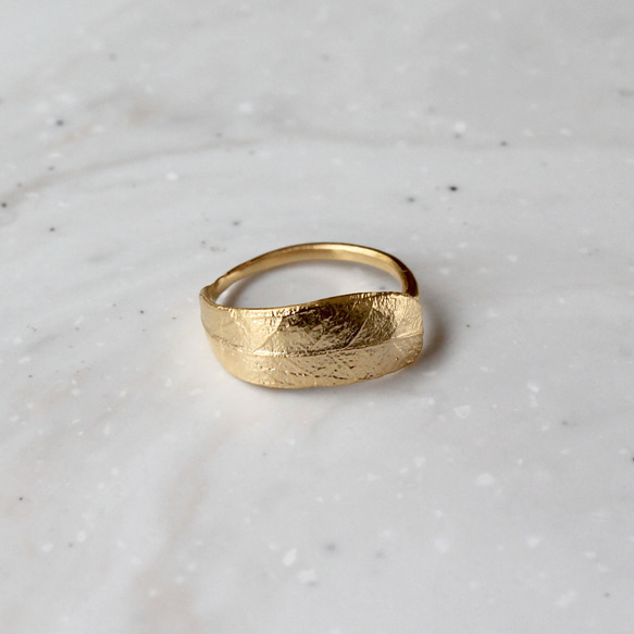 橄欖環 第3張的照片