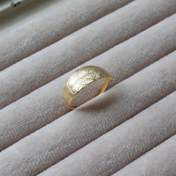 橄欖環 第7張的照片