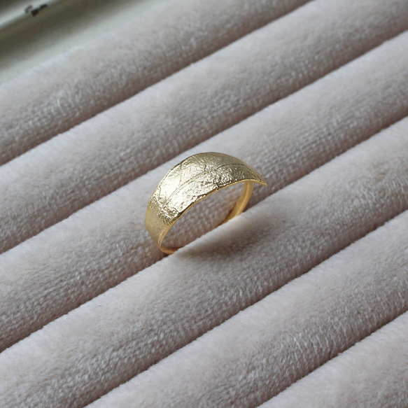 橄欖環 第7張的照片