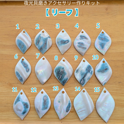 夜光貝磨きアクセサリー作りキット ✳【 リーフ 】 キット 夜光貝
