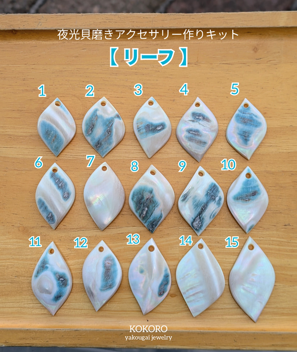 夜光貝磨きアクセサリー作りキット ✳【 リーフ 】 キット 夜光貝