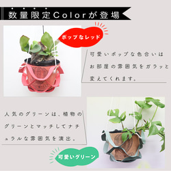 カラー追加!!【送料無料】レザー プラントハンガー -観葉植物を吊るす- 12枚目の画像