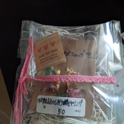 耳つぼジュエリー | 開業・メニュー化応援パック イヤリング