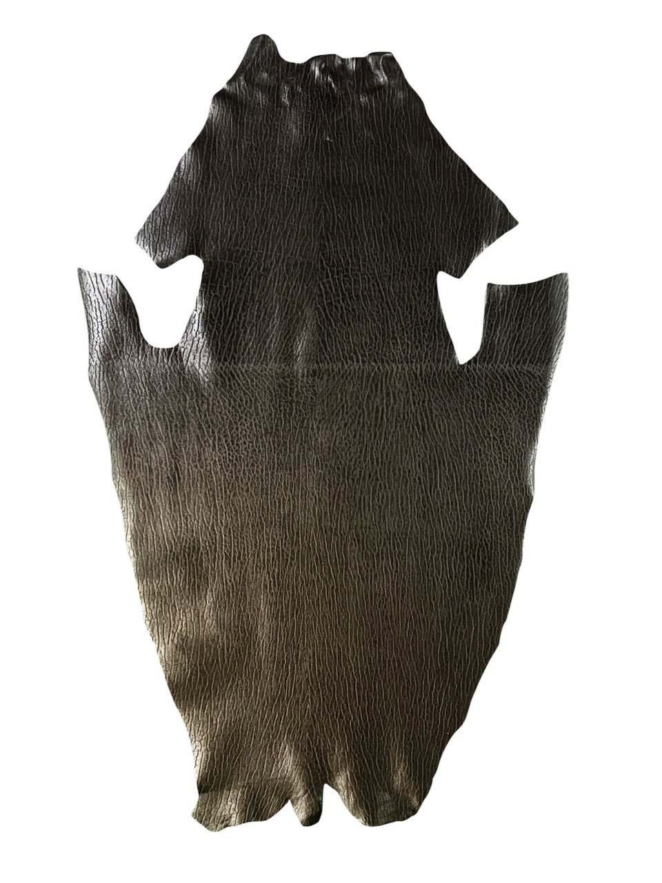 アザラシ革　SEAL　ハンドメイド　エキゾチックレザー