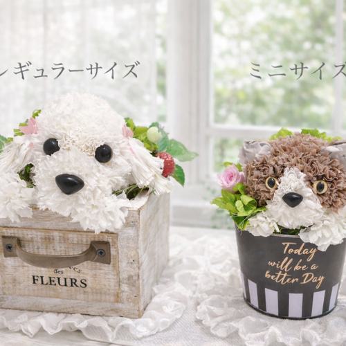 犬　トイプードル　プリザーブドフラワー 送料無料】カーネーションの犬 トイプードル プードル【ミニ】フラワー