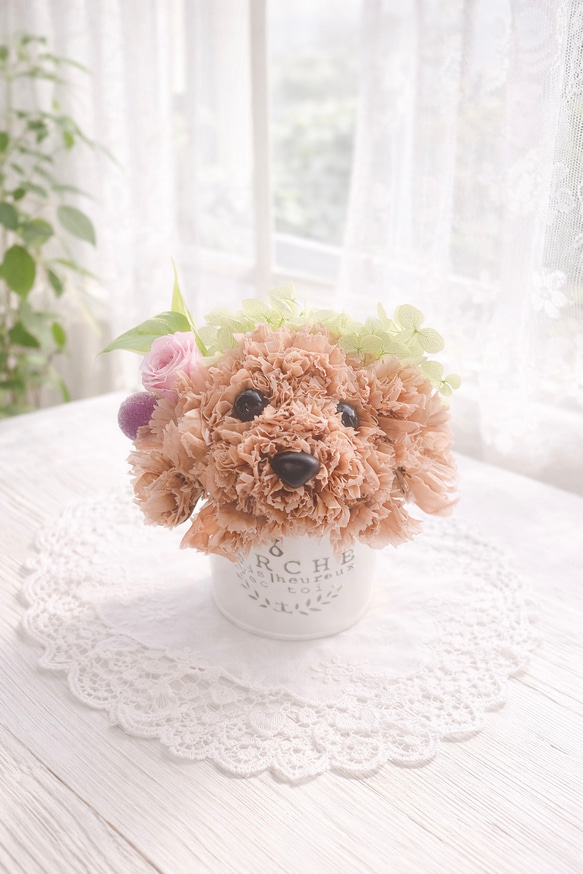 送料無料】カーネーションの犬 トイプードル プードル【ミニ】フラワー