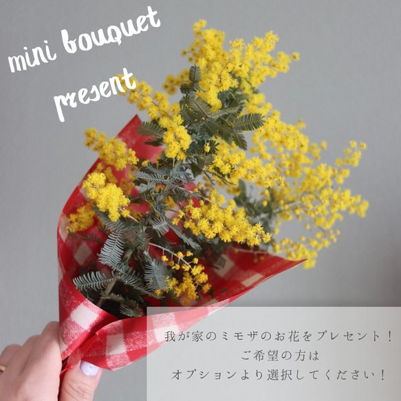 【2026年3月まで】特集掲載/満開のミモザロンパース/セットでヘアバンドもいかがですか？/ミモザ/フリル袖/出産祝い 8枚目の画像