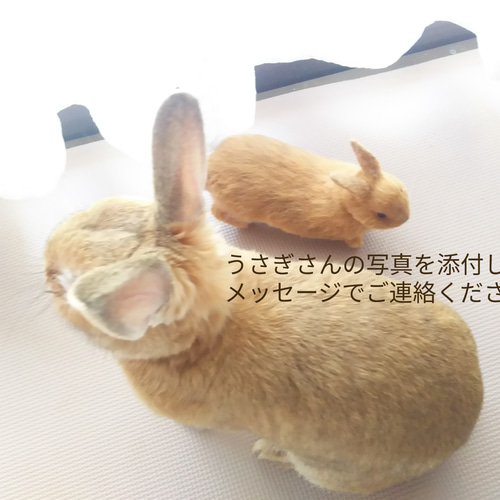 受注制作】オーダーメイド#羊毛フェルトのうさぎさん 羊毛フェルト