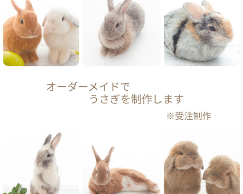 羊毛フェルト。うさぎ。ロップイヤー。リース付き - メルカリ