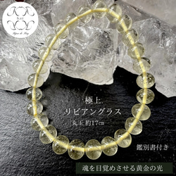 リビアングラス のおすすめ人気通販 検索結果｜Creema(クリーマ