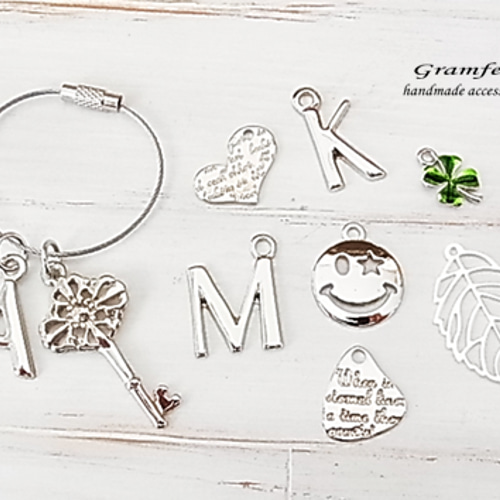 選べるチャームのワイヤーキーホルダーイニシャル 鍵 英字プレート