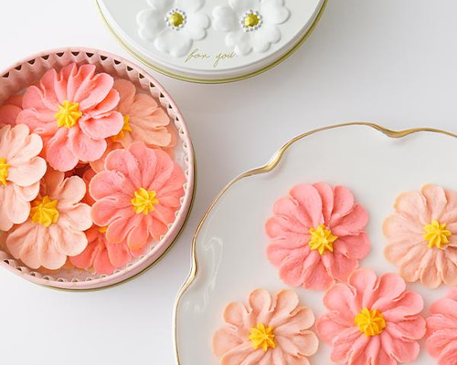 505c203bb122225b8023465b6baf74