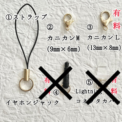 506 シンセティックルビー×黒翡翠×シャンパンクォーツ　天然石　お守り 3枚目の画像