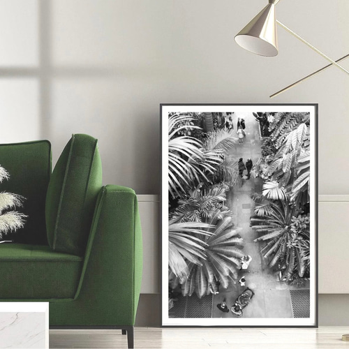 モノクロ インテリア フォト グラフィック ポスター 【 botanical