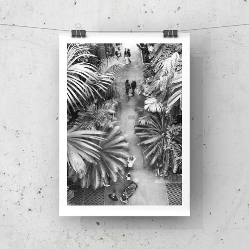 インテリアポスターー モノクロ インテリア フォト グラフィック ポスター 【 botanical